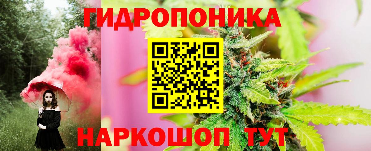 Каннабис сатива Аша
